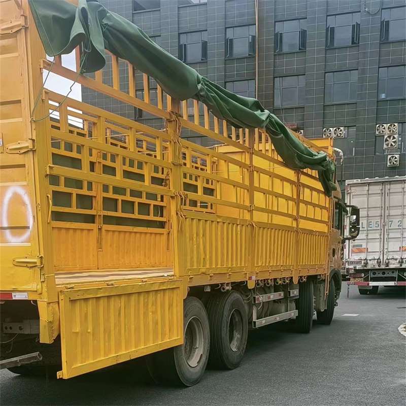 宁河区吉安市物流：多元服务与高效运输线路探秘