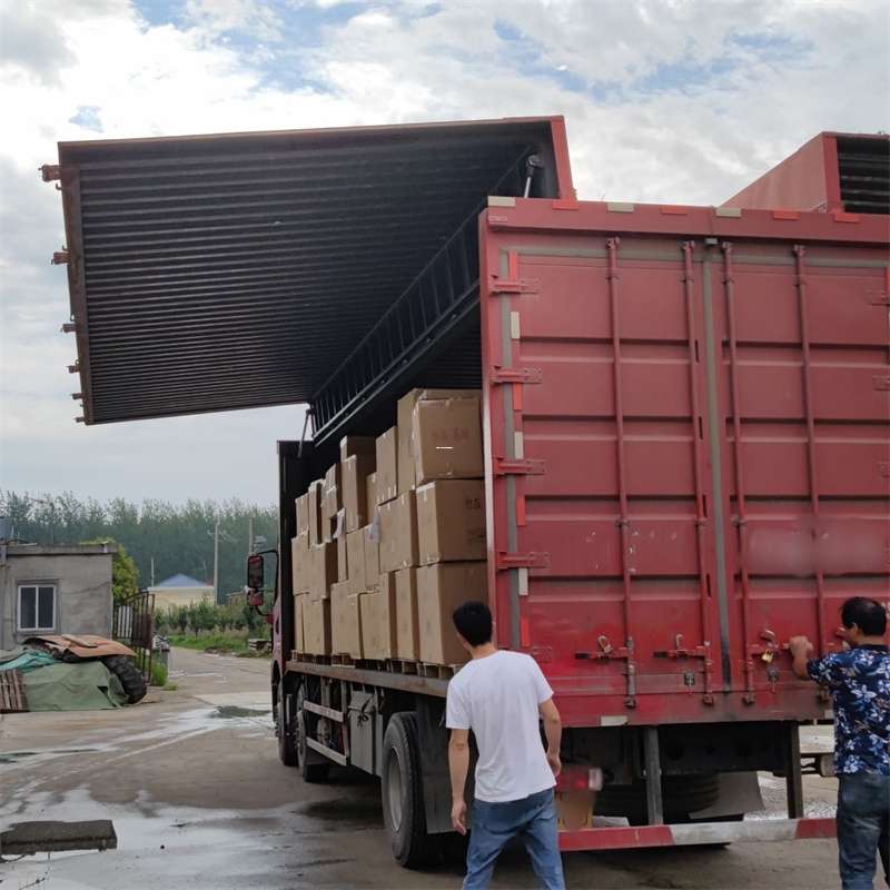 宁河区扎囊县：物流专线的高效货运之旅