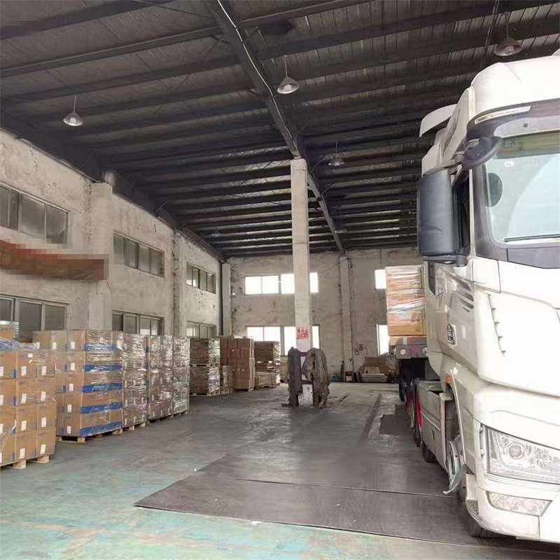 宁河区卡若区：多元物流服务开启高效运输之旅
